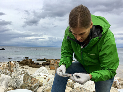 A volunteer examining storm water samples