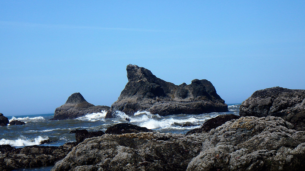 a rocky coastline