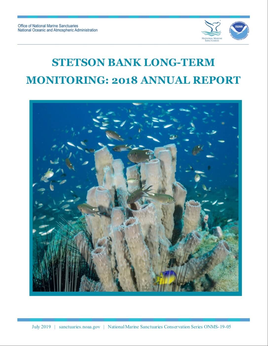 multiple fish near a reef - stetson bank long-term monitoring: 2018 annual report cover