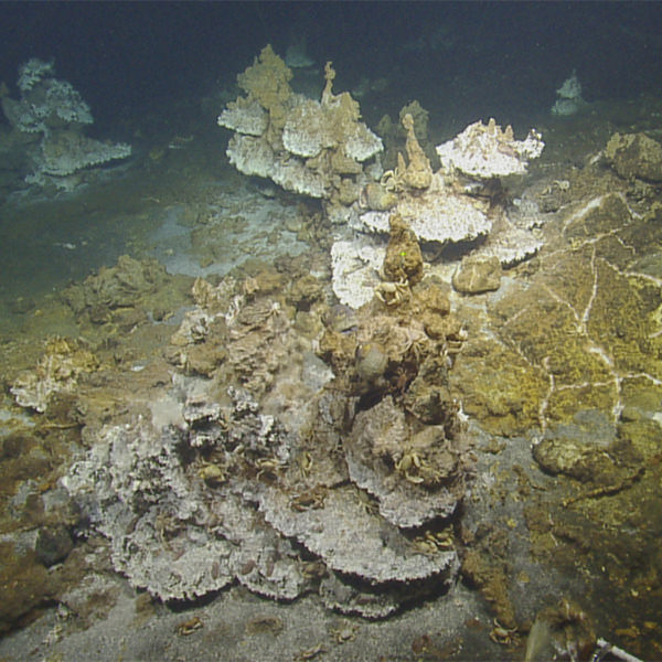 geologic structures on the seafloor