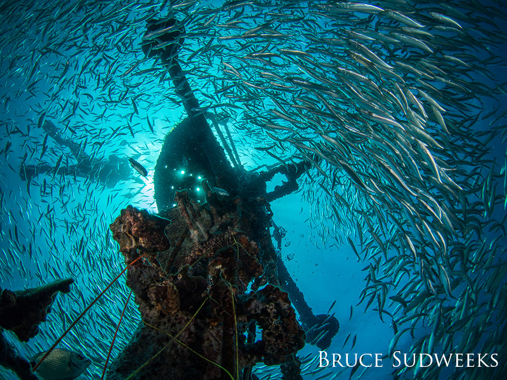 A wreck photographed from below as a large school of fish swarm around it and a diver drifts off to the left