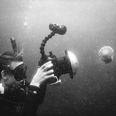 diver photographing jellyfish