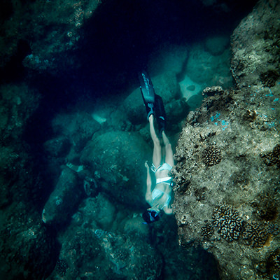 freediver among coral
