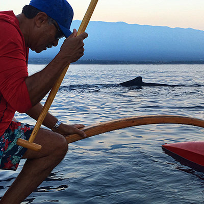 a whale off to the side of an outrigger canoe and paddler