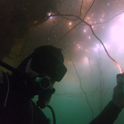 diver selfie in kelp