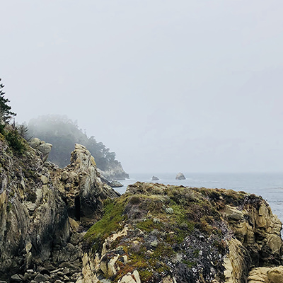 foggy, rocky coastline