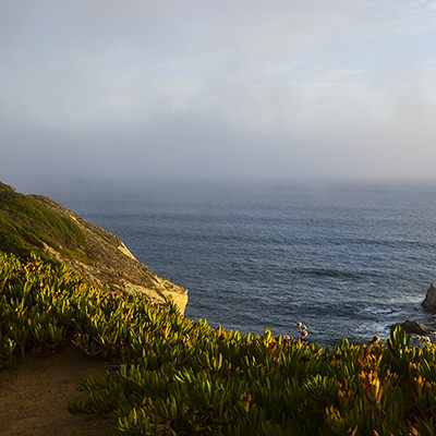 a view of fog from a coastline