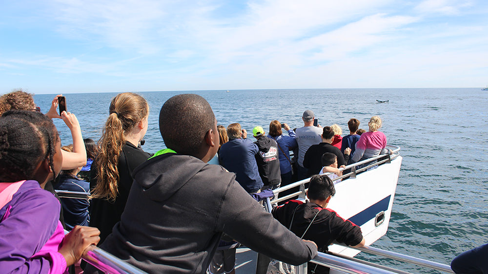 students on a whale watching boat with a whale tail at the ocean surface in the distance