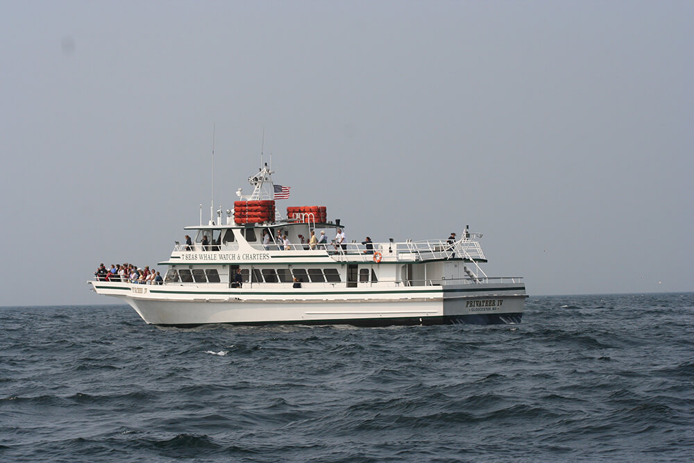 A whale watching boat