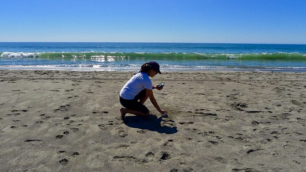 Female wearing light gray t shirt, dark cropped leggings, and purple hat on beach on one knee sampling Stinson Beach with phone in left hand and reaching towards sand with right hand. Footprints are visible throughout the sand, blue sky, and blue water with wave breaking.