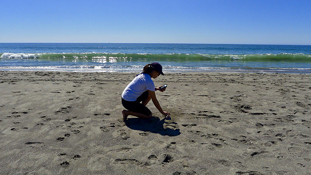 a woman crouching on a beach to sample sediment