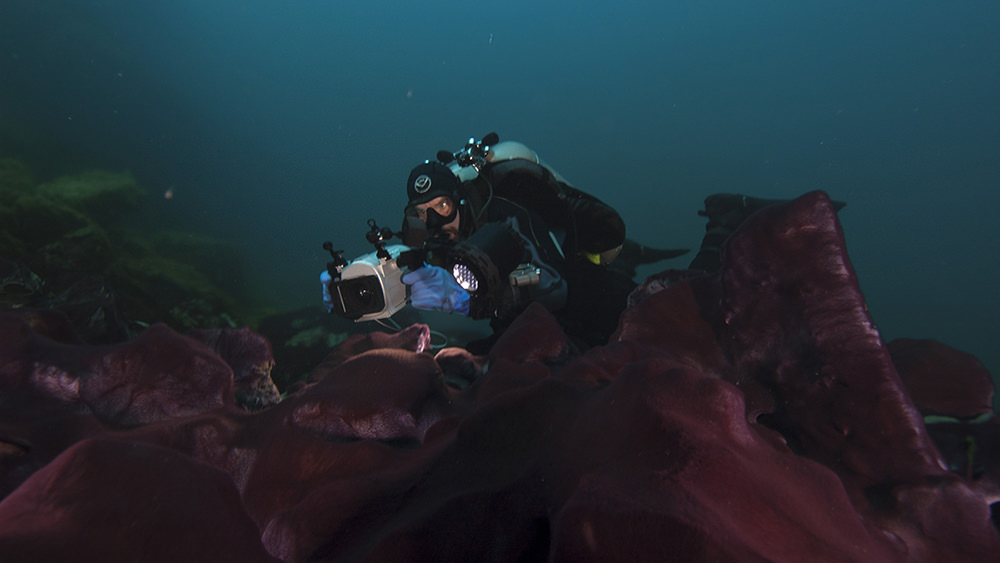 diver photographing sinkhole features