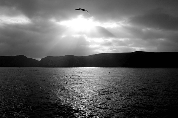 Black and white photo of a sunset over water