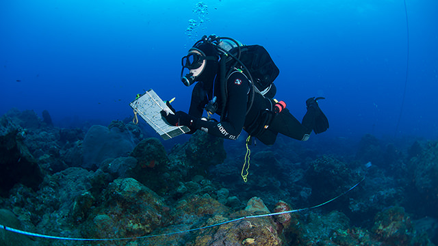 diver holding a dive slate above a coral reef