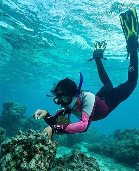 diver reaching out to a coral