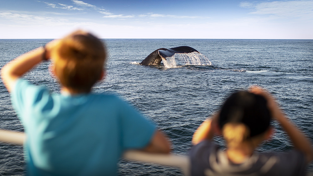 two children watching a whale surface