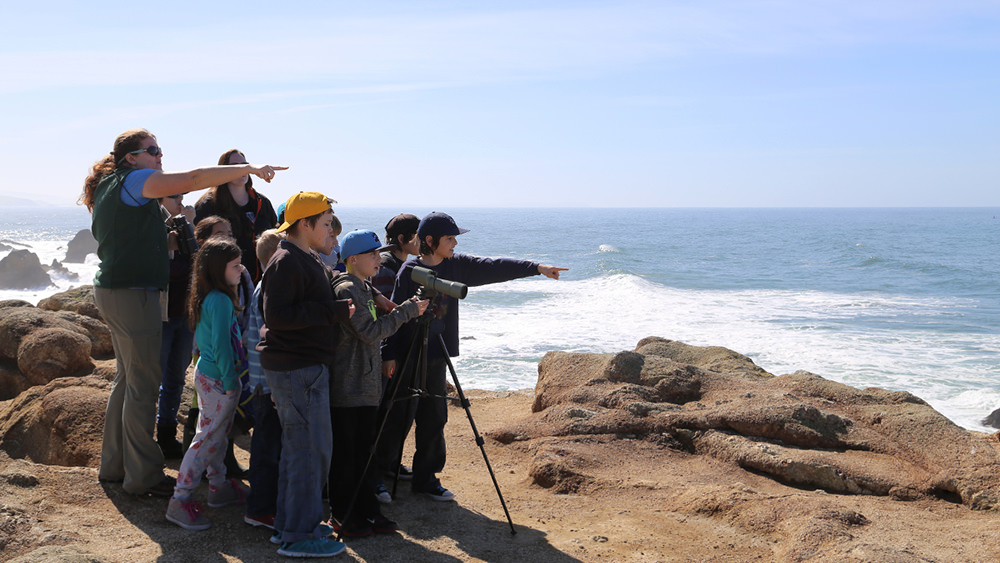 a group of students look into the distance in front of the ocean