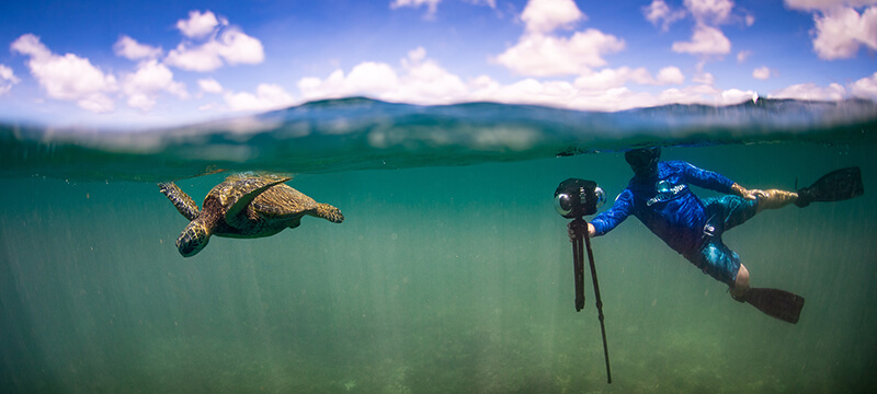 Diver with VR equipment underwater capturing a sea turtle