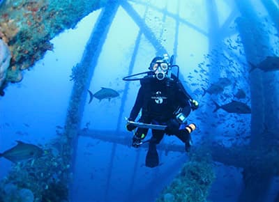 diver conducts roving fish survey
