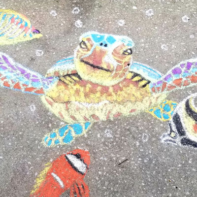 green sea turtle chalk drawing