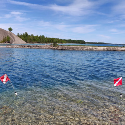 Two dive flags in water