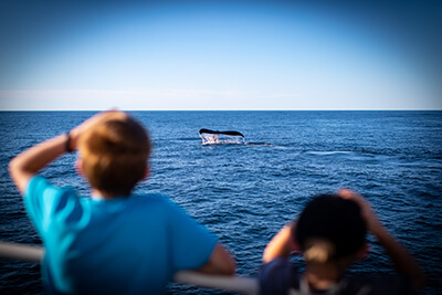 Two children look over the ocean at a whale tail from the deck of a ship