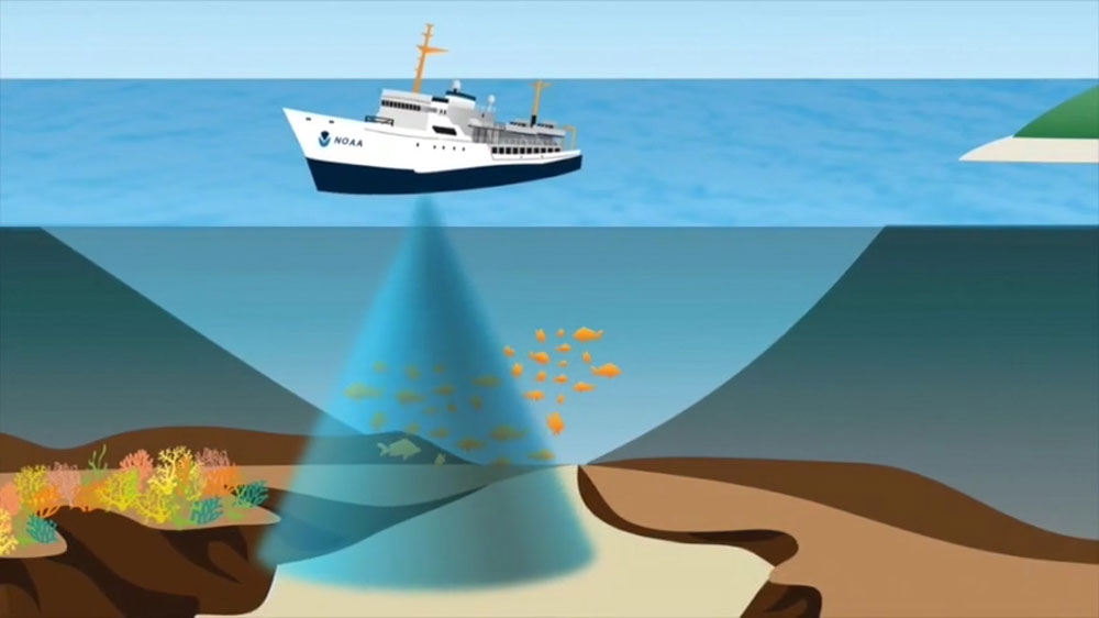 Pulses of sound emitted into the water from ship-board acoustic instruments, called splitbeam echosounders and multibeam echosounders, bounce off of fish, providing their locations and sizes.