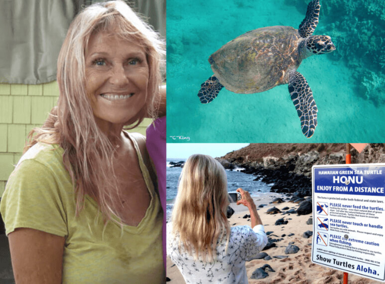 left: Hannah Bernard, Top right: A sea turtle, Bottom right: A person photographs sea turtles on a beach from a distance