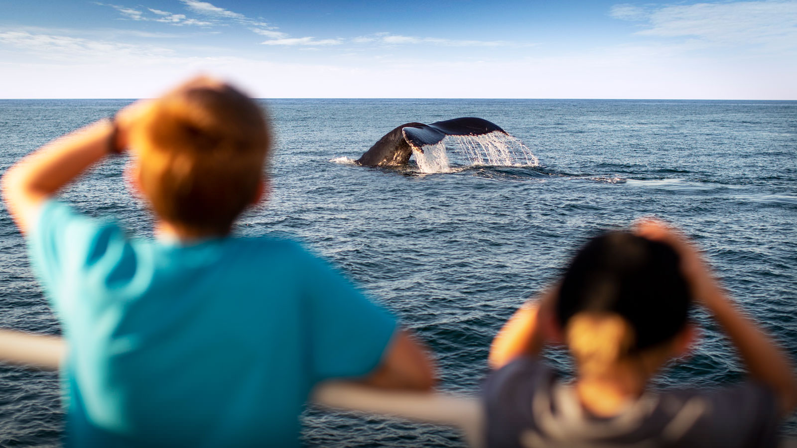 two kids watching cetaceans breach