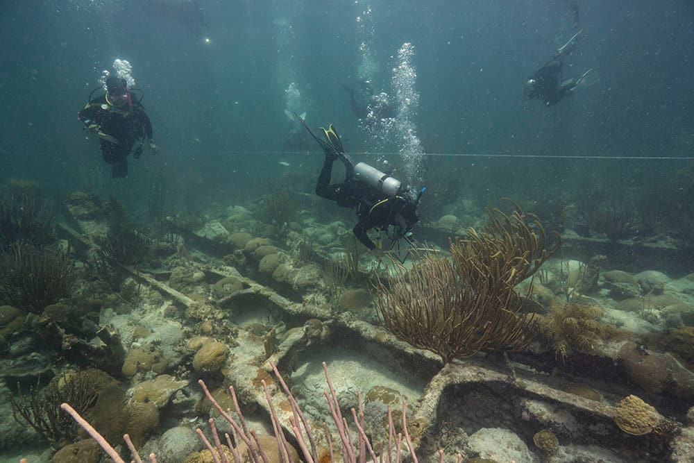 Five divers in full scuba gear exploring the Brick wreck skeletal structure along the bottom of the ocean