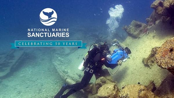cover for the shipwrecks 50th anniversary with a diver around coral reefs