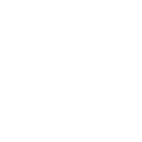 icon of a bird diving at a fish