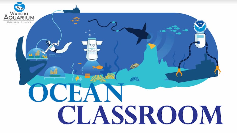 Ocean Classroom Logo