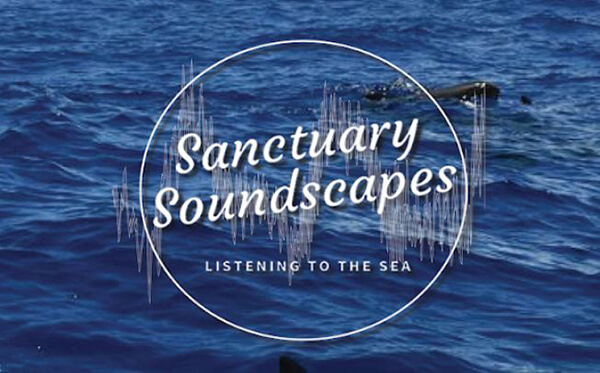 Sanctuary landscape logo