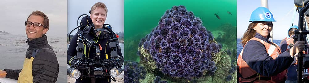 speaker profile pictures and a outbreak of purple sea urchins
