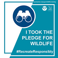 Join me take the pledge for wildlife