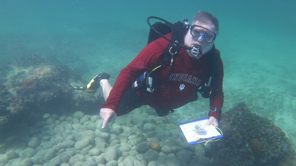 Diver with a clipboard pointing at a shipwreck