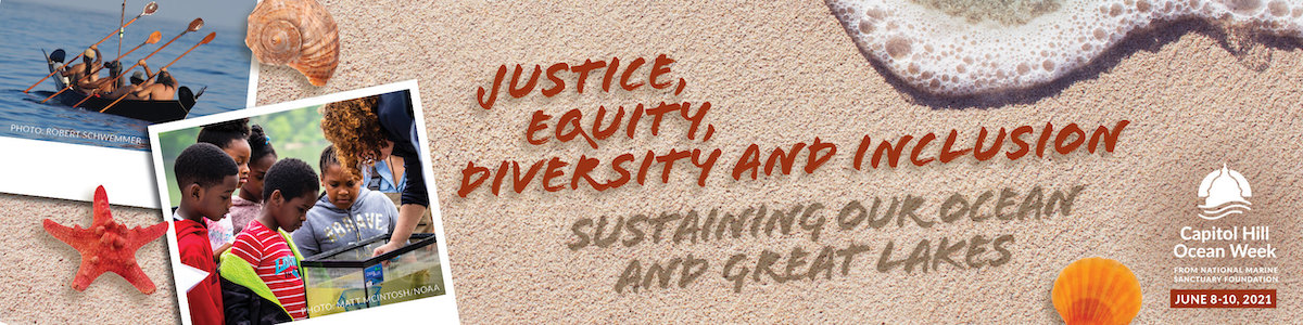 A banner with the words Justice, Equity, Diversity, and Inclusion, sustaining our ocean and great lakes
