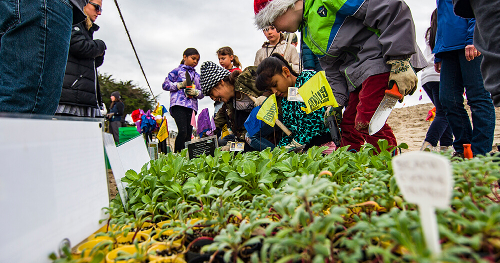 students gather around seedling plants on a beach