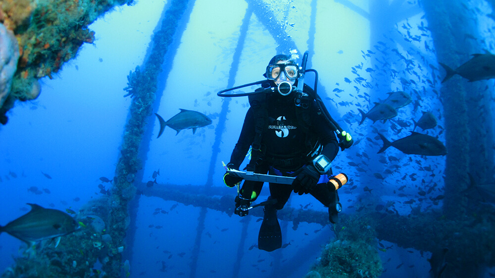 a scuba diver underwater surrounded by fish