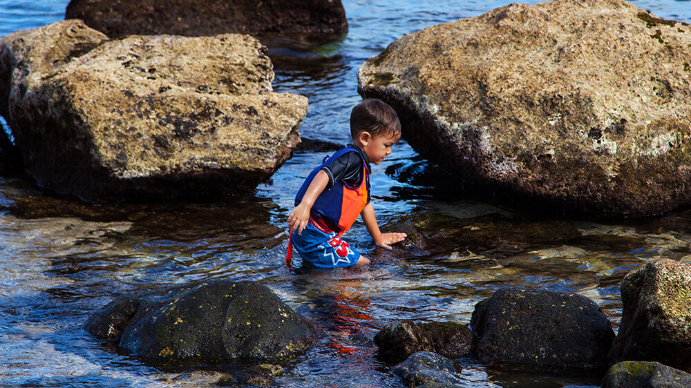 a child wearing a life jacket plays in a shallow rocky tidepool