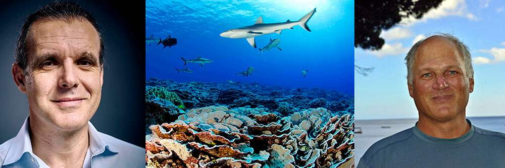 left: headshot of a person, center: a shark swims above a reef, right: headshot of a person