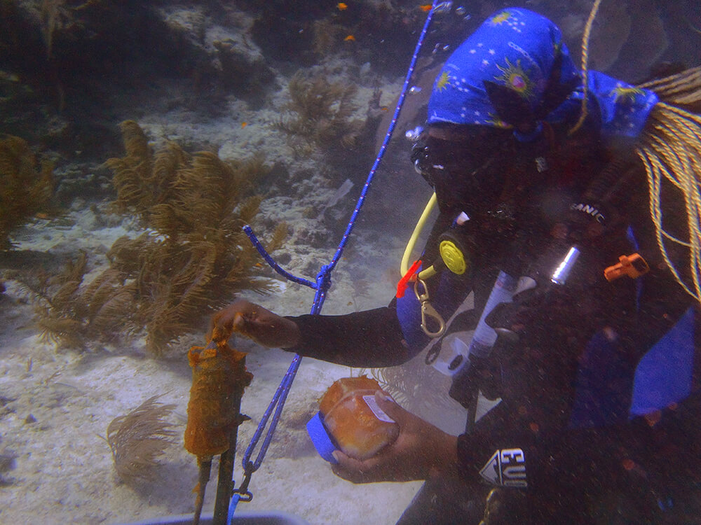 a person scuba diving and holding hydrophones.