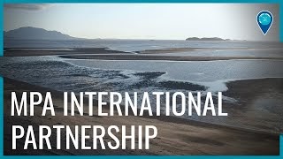 Mpa international partnership titles image