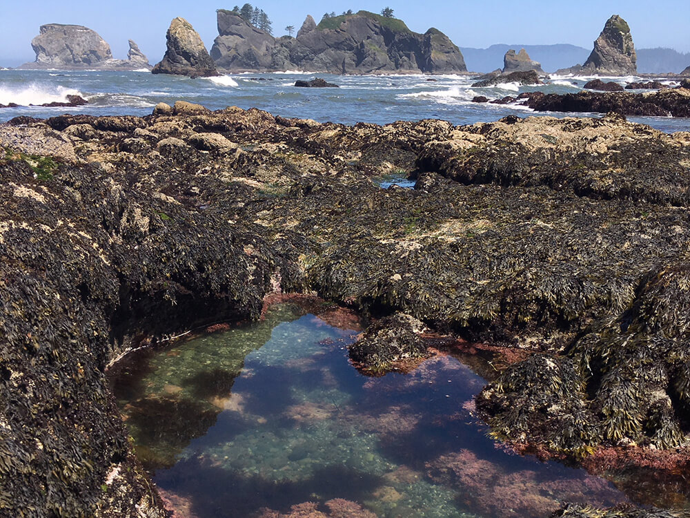 Rocky tide pool filled with ocean water 