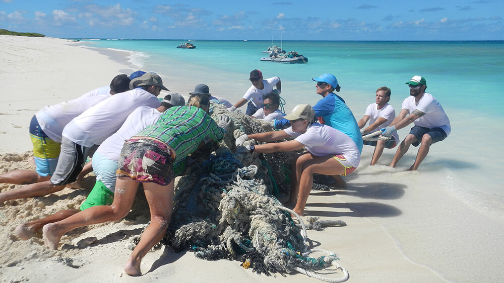 volunteers remove a large pile of marine debris from the water