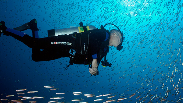 A diver swims with many fish swarming around them