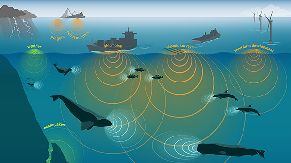 a graphic depicting ships, animals, weather and earthwuakes creating noise in the ocean