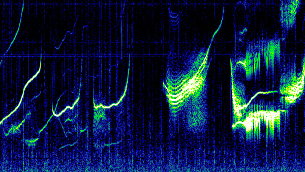 A spectrogram