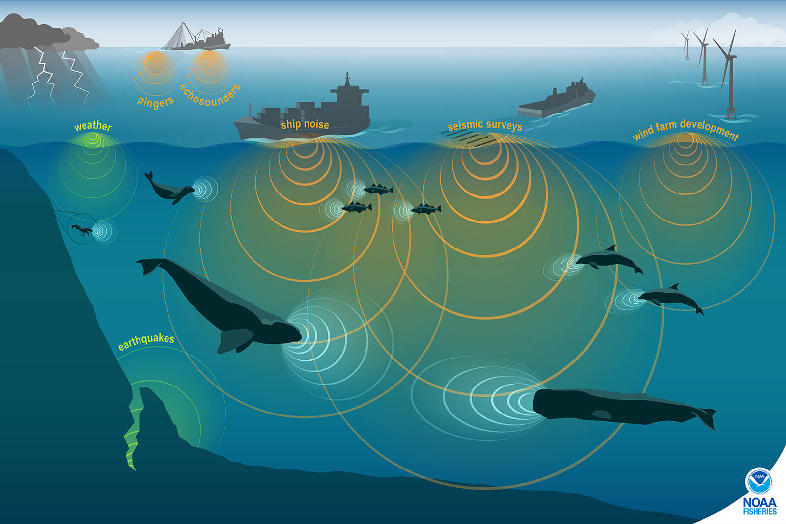 graphic showing the different sources of ocean noise